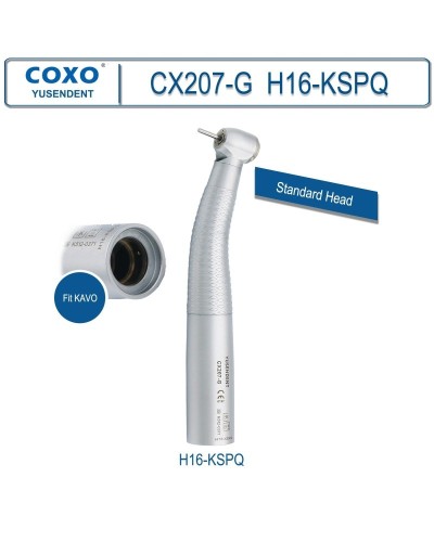 COXO Dental Turbine Fiber Optic High Speed Handpiece Air Rotor Standard/Torque Head LED Coupler 6 Pin Fit KAVO NSK Sirona WH