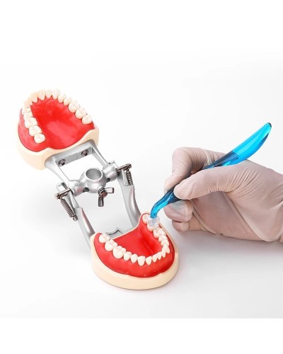 PIORPOY Dental Posterior Teeth Aesthetic Printing Kit 16 Molds Oral Care Orthodontic Filling Restoration Dentist Supplies Tool