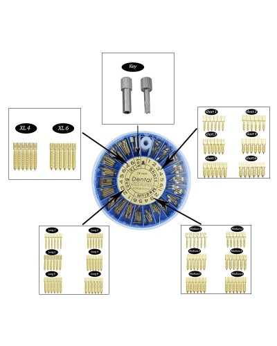 Denspay Dental Titanium & Gold Plated Screw Posts Stainless Steel Durable Dentist Supplies & Dental Materials