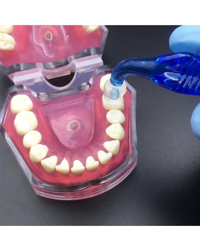 PIORPOY Dental Posterior Teeth Aesthetic Printing Kit 16 Molds Oral Care Orthodontic Filling Restoration Dentist Supplies Tool