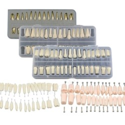 Dental Teeth Model Implant with Removable Dental Education Model for Dentistry Laboratory Demo Studying Dentistry Products Tool