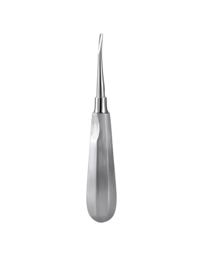 1PC AZDENT Dental Teeth Elevator Surgical Tooth Extraction Tool Stright Curved Stainless Steel Dentistry Lab Instrument Dentists