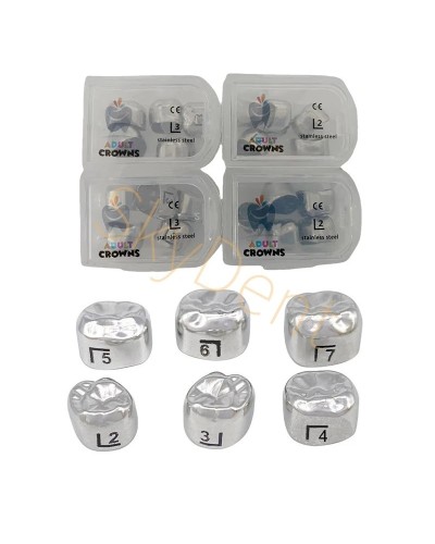 24Sizes Dental Adult Permanent Molar Crowns Stainless Steel Preformed Permanent Crown Teeth Refill Dentistry Supply 5Pcs/Box