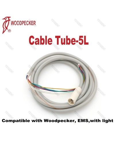 Original Woodpecker DTE Dental Ultrasonic Scaler Handpiece LED Light HW-6L HW-5L HD-7L HD-7H HW-3H Fit EMS NSK SATELEC ACTEON
