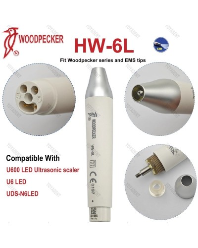 Original Woodpecker DTE Dental Ultrasonic Scaler Handpiece LED Light HW-6L HW-5L HD-7L HD-7H HW-3H Fit EMS NSK SATELEC ACTEON