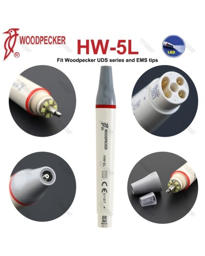 Original Woodpecker DTE Dental Ultrasonic Scaler Handpiece LED Light HW-6L HW-5L HD-7L HD-7H HW-3H Fit EMS NSK SATELEC ACTEON