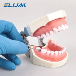 Dental Sectional Contoured Metal Matrices Matrix with Springclip No.1.