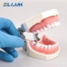 Dental Sectional Contoured Metal Matrices Matrix with Springclip No.1.