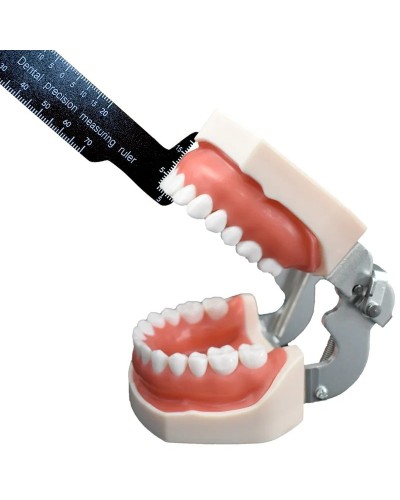 Dental Precision Measuring Ruler Medical Tool For Photography And Dentistry