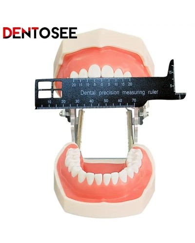 Dental Precision Measuring Ruler Medical Tool For Photography And Dentistry