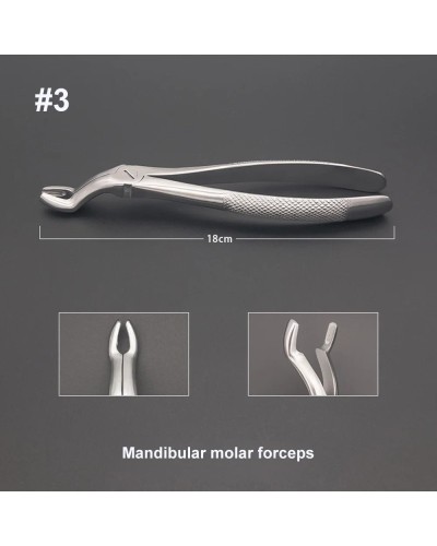 GISTAR High Quality Dental Adult Tooth Extraction Pliers Root pliers Dentistry Surgical Tool Instrument Molar forceps