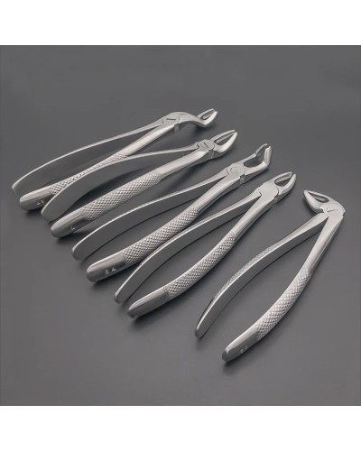 GISTAR High Quality Dental Adult Tooth Extraction Pliers Root pliers Dentistry Surgical Tool Instrument Molar forceps