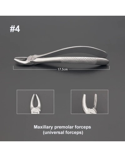 GISTAR High Quality Dental Adult Tooth Extraction Pliers Root pliers Dentistry Surgical Tool Instrument Molar forceps