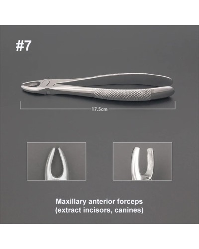 GISTAR High Quality Dental Adult Tooth Extraction Pliers Root pliers Dentistry Surgical Tool Instrument Molar forceps